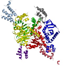 Image of CATH 3hph