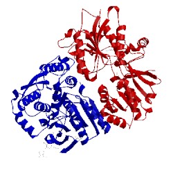 Image of CATH 3hsy
