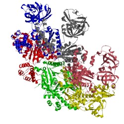 Image of CATH 3hu1