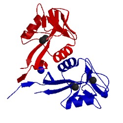 Image of CATH 3hup