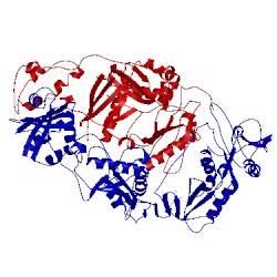 Image of CATH 3hvt