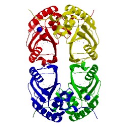 Image of CATH 3hvu
