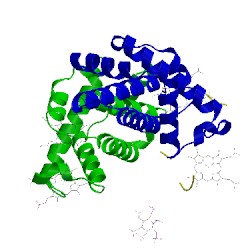 Image of CATH 3hxn