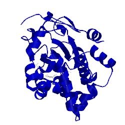 Image of CATH 3hy5