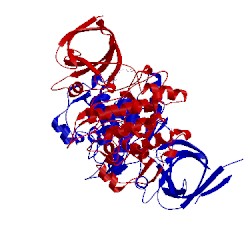 Image of CATH 3i4b