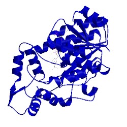 Image of CATH 3i6i