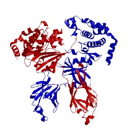 Image of CATH 3i6u