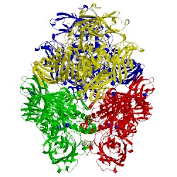 Image of CATH 3iap