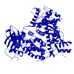 Image of CATH 3ibe