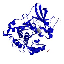 Image of CATH 3idb