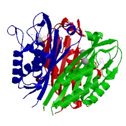 Image of CATH 3iew