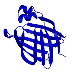 Image of CATH 3ifb