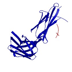 Image of CATH 3ifn