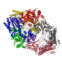 Image of CATH 3ig4