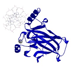 Image of CATH 3igk