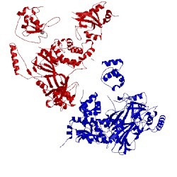 Image of CATH 3ihp