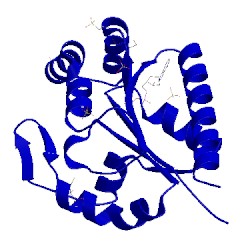 Image of CATH 3iim