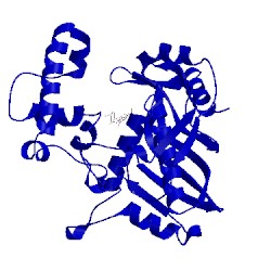 Image of CATH 3ijz