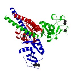 Image of CATH 3ikn