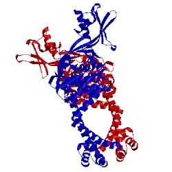 Image of CATH 3ilw