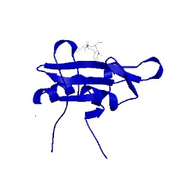Image of CATH 3in8