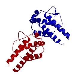 Image of CATH 3ink