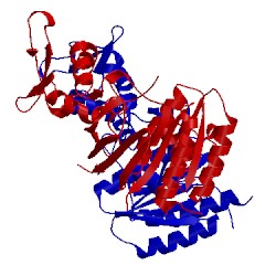 Image of CATH 3io5