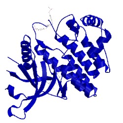 Image of CATH 3io7