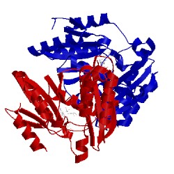 Image of CATH 3iob