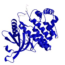 Image of CATH 3iok