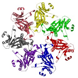 Image of CATH 3ipm