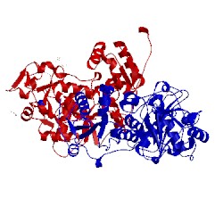 Image of CATH 3ipo