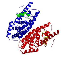 Image of CATH 3ips