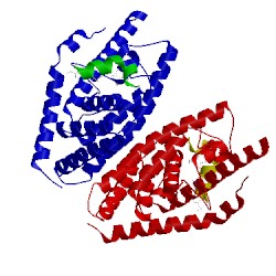 Image of CATH 3ipu