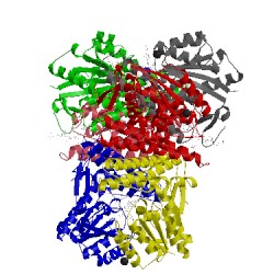 Image of CATH 3iqe