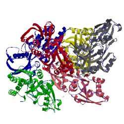 Image of CATH 3ir1