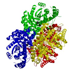 Image of CATH 3iuh