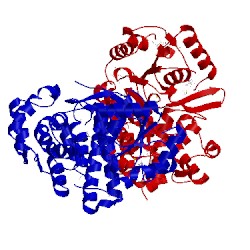 Image of CATH 3iv7