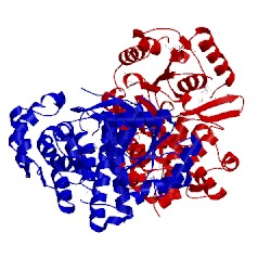 Image of CATH 3iv7