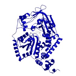 Image of CATH 3iva