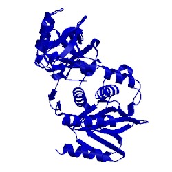 Image of CATH 3ivf