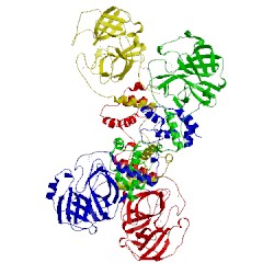 Image of CATH 3iwm