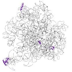 Image of CATH 3j3v