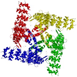 Image of CATH 3j5p