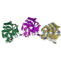 Image of CATH 3j6g