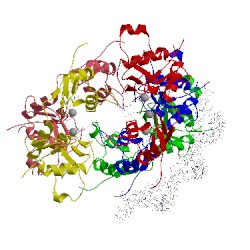 Image of CATH 3j8a