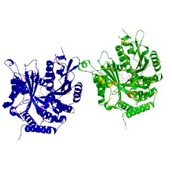 Image of CATH 3jaw