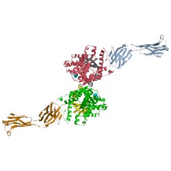 Image of CATH 3jbq