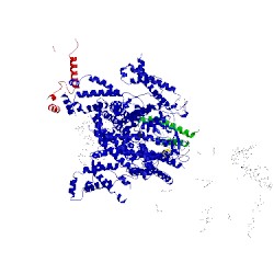 Image of CATH 3jbr