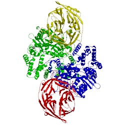 Image of CATH 3jbw